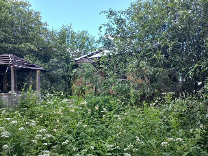 Участок 6 сот. (СНТ, ДНП)