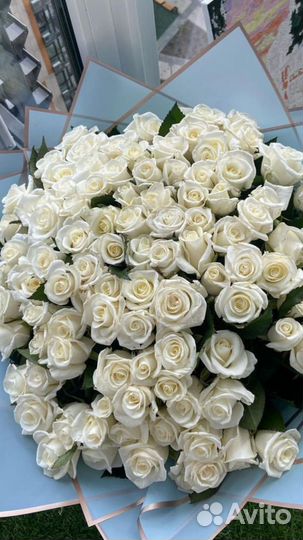 Цветы букеты 101 роза