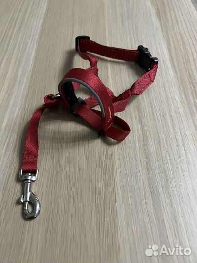 Недоуздок для собак Halti Headcollar