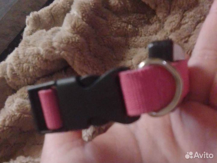 Светящийся ошейник для собак