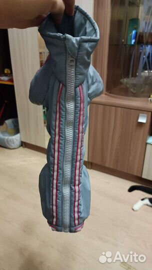 Комбинезон для собак