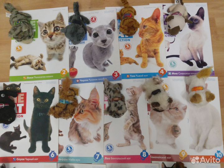 Котята the cat collection