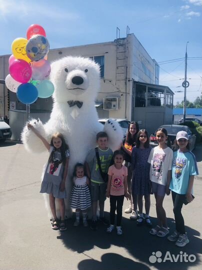 Ростовая кукла Белый мишка поздравление