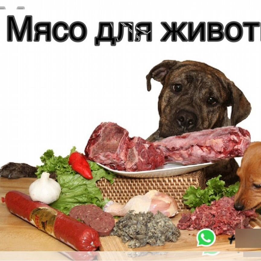 Мясо для животных