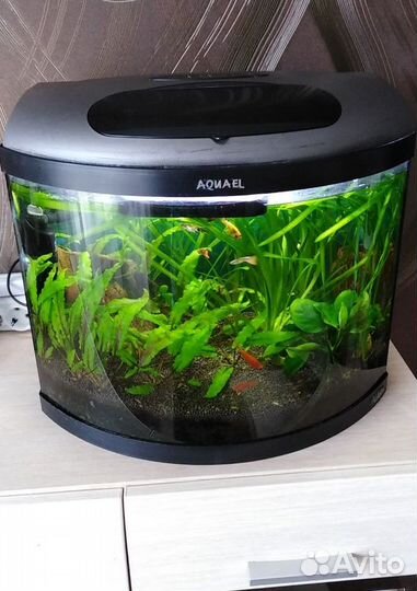 Аквариум Aquael 26л