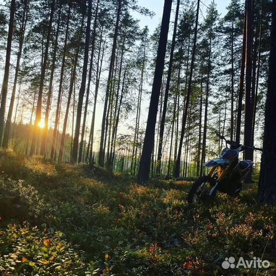 Пит байк BSE sssr