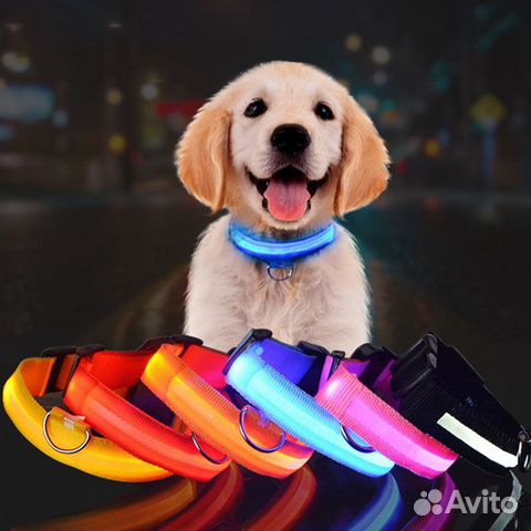 Светящийся ошейник для питомцев