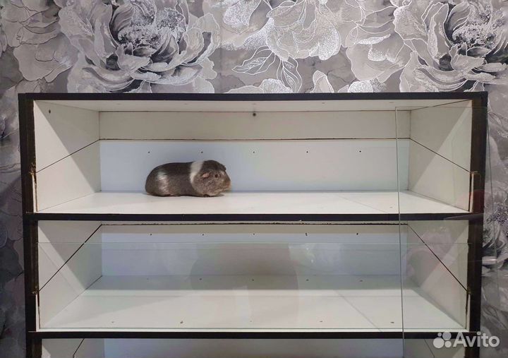 Стеллаж для морских свинок, хомяков