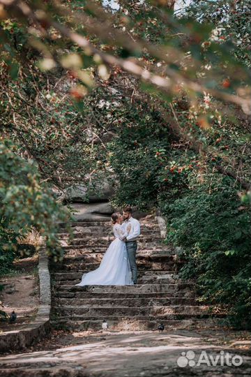 Видеооператор, фотограф, аэросьемка