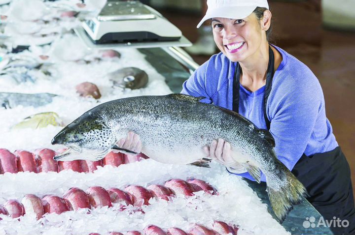 Продавец рыбного отдела (метро Озёрная)