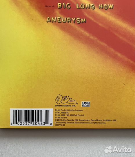 Nirvana - Incesticide