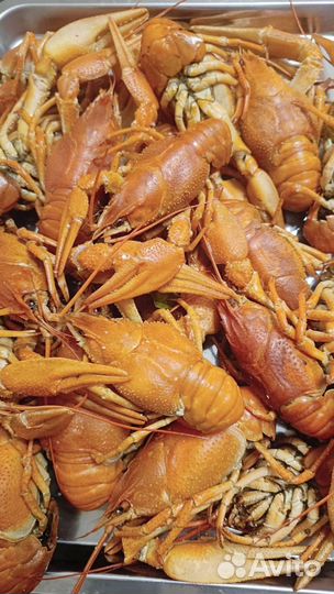 Раки вкуснейшие