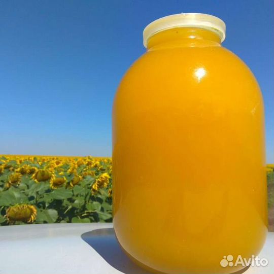 Мед подсолнечника