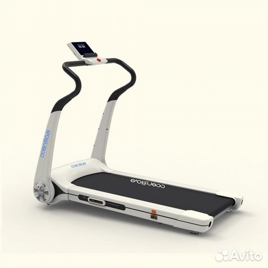 Беговая дорожка