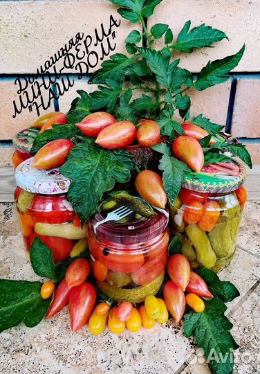 Домашние мини помидорки/карликовые огурчики(2023г)