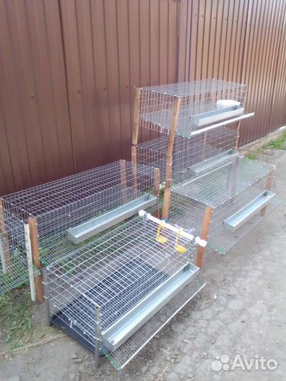 Клетки для перепелов