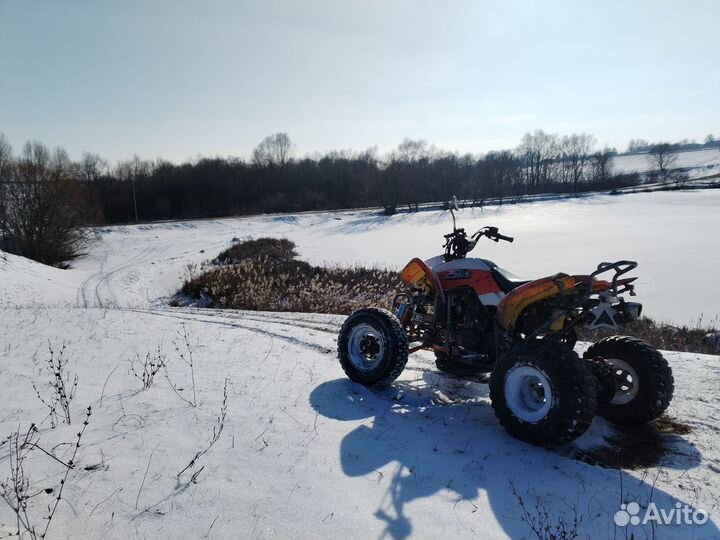 Квадроцикл ATV-250S