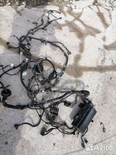 Pajero sport 2 3.0 v6. Проводка подкапотная