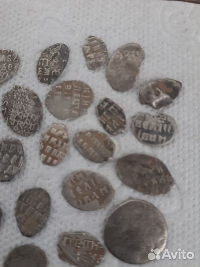 Монеты чешуйки