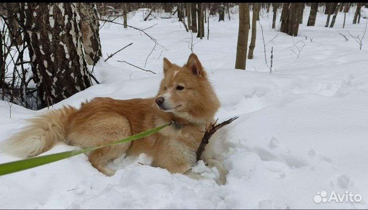 Предложение услуг