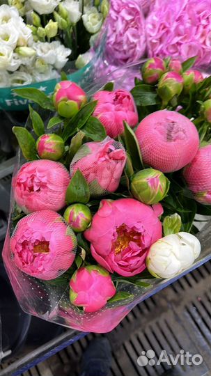 Букет пионов с доставкой