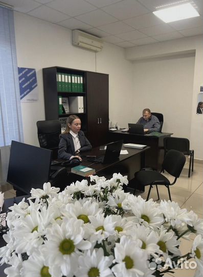 Франшиза Всё хорошо