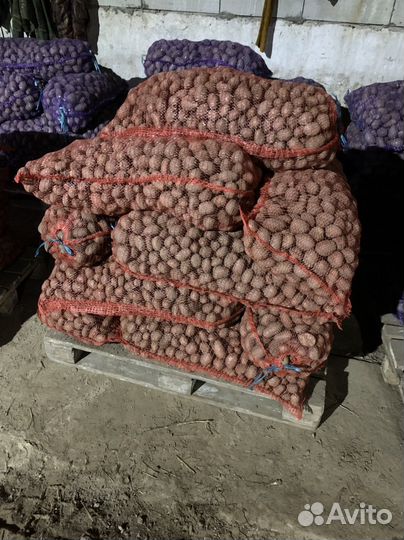 Картофель мелкий