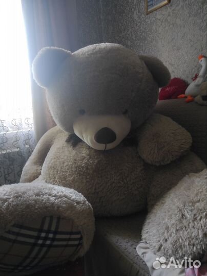 Медведь плюшевый гигант