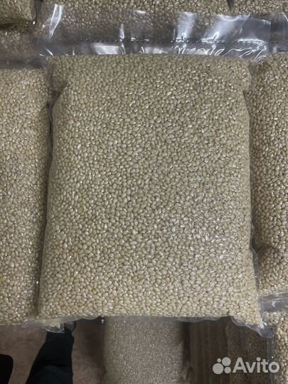 Ядро кедрового ореха, оптом