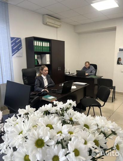 Высокомаржинальный бизнес под ключ