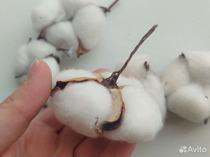 Хлопок натуральный