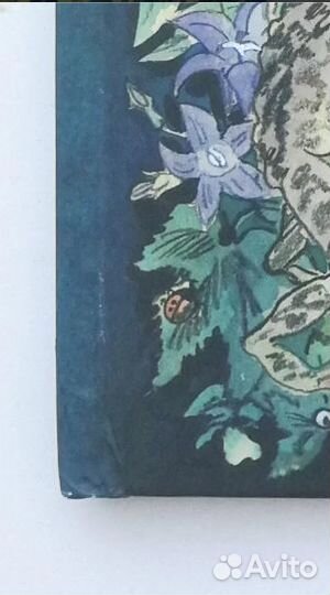 Золушка Зинько. Красная Шапочка Мигунов Миф