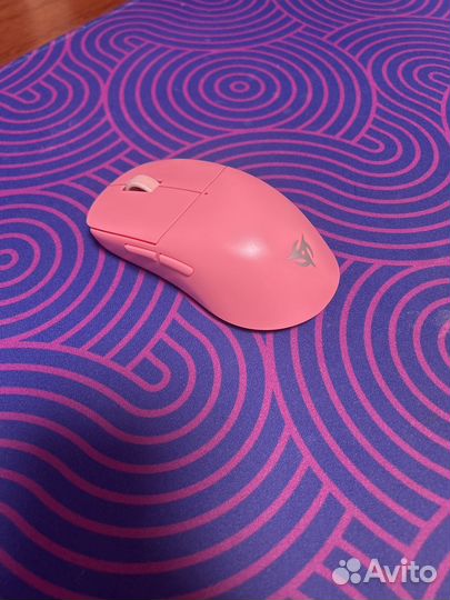 Ninjutso sora 4k pink