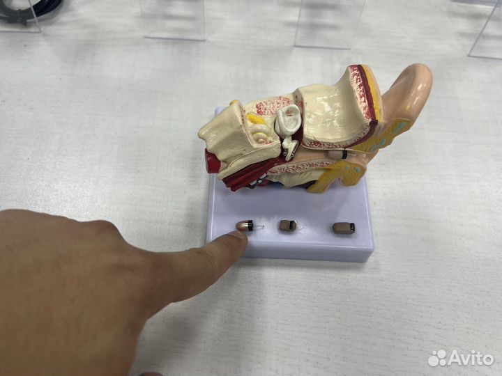 Микронаушник капсульный аренда/покупка