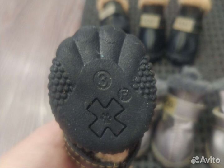 Ботинки для собак