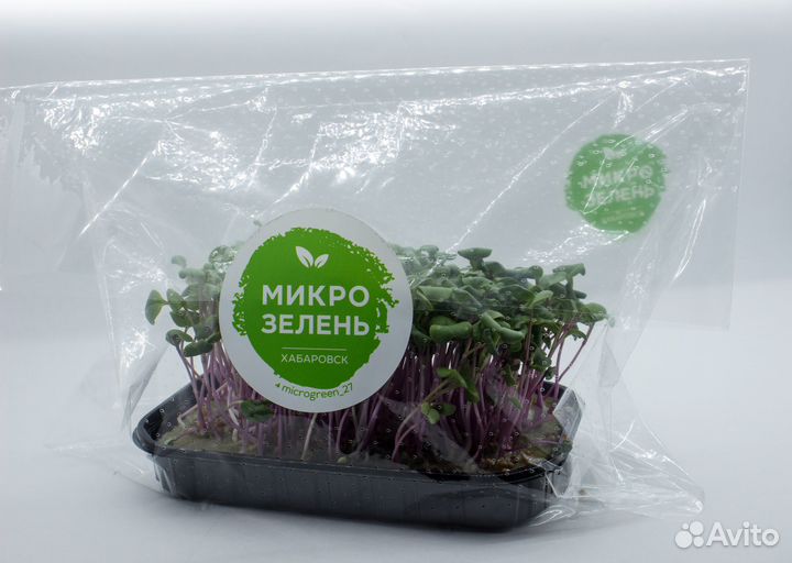 Микрозелень