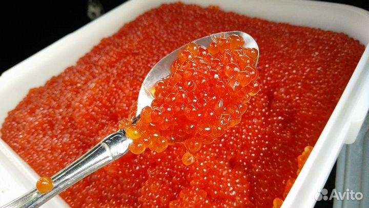 Красная икра оптом