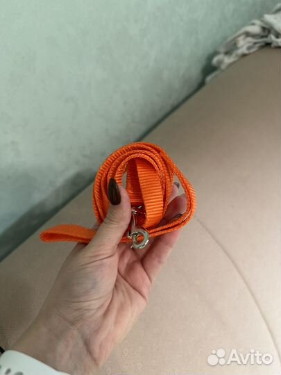 Шлейка для собаки