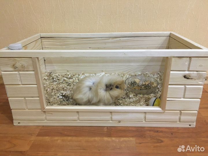 Клетка для морской свинки бу