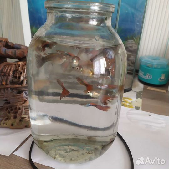 Декор, аквариум, грунт