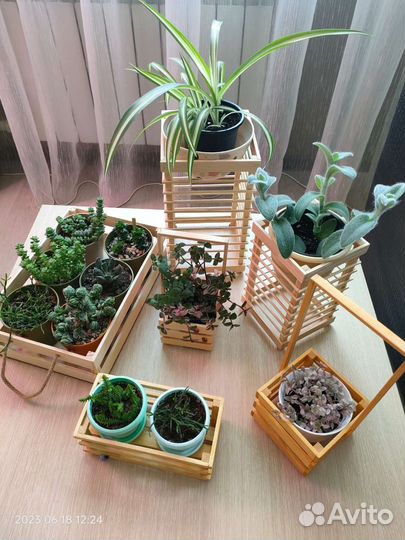 Кашпо, подставки, ящики для растений