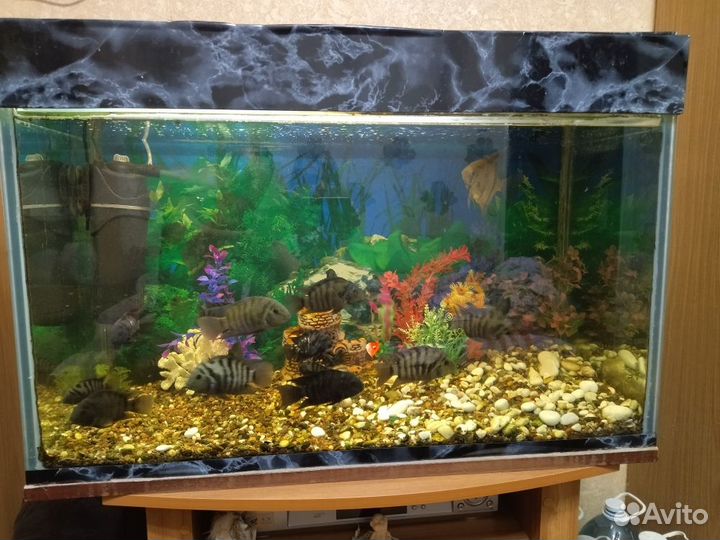 Продам аквариум