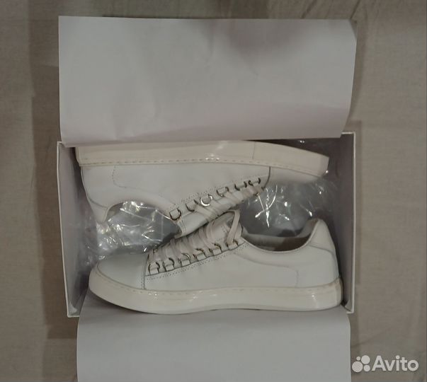 Balenciaga arena low