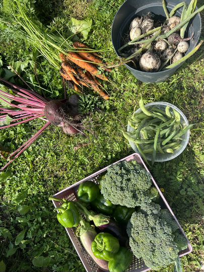 Дача 18 м² на участке 6 сот.