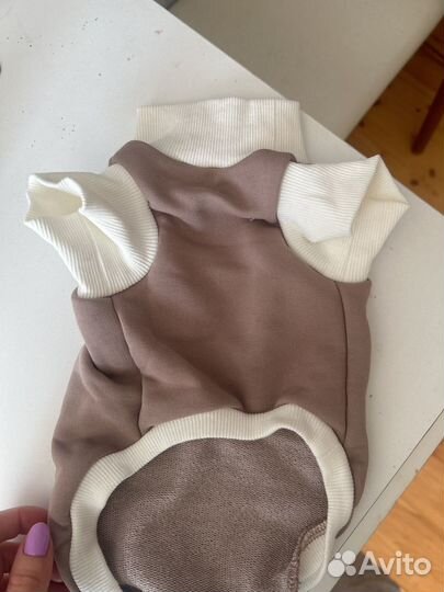 Одежда для маленьких собак