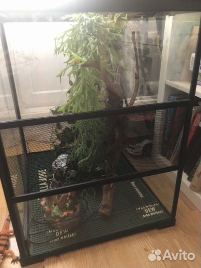 Вертикальный террариум repti zoo для рептлий