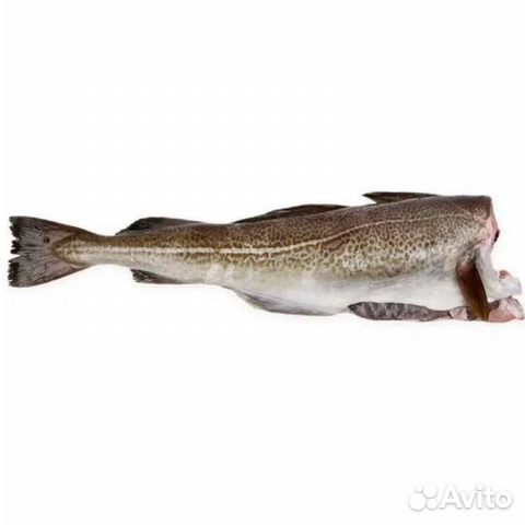 Треска белая с/м