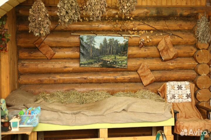 Изба (Живая семейная баня - SPA)