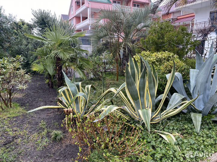 Чернозем перегной доставка мешки самосвал