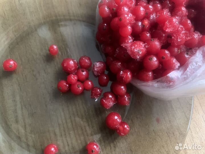 Красная смородина